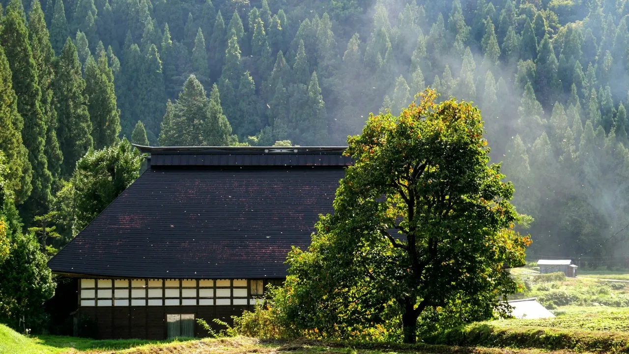 Akiya House Sales in Japan: How to Search Without Chasing Myths