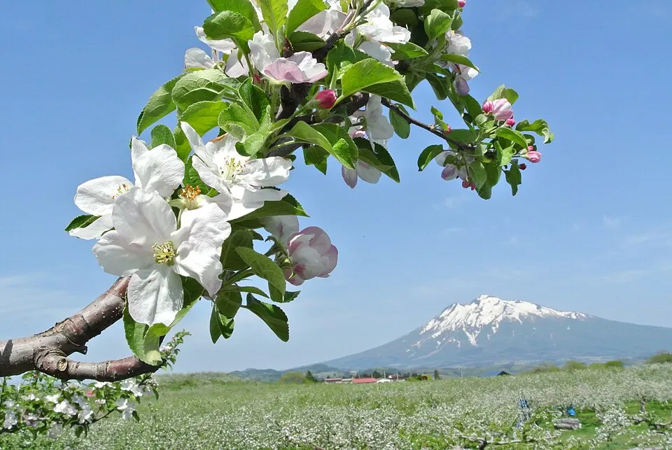 Mount Iwaki, Aomori