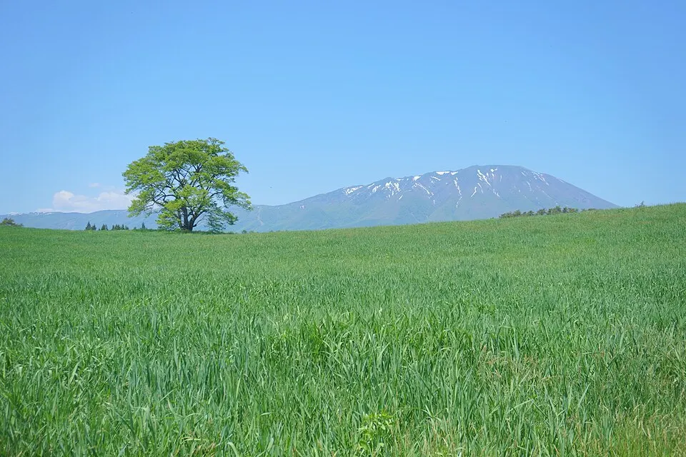 Mount Iwate, Iwate
